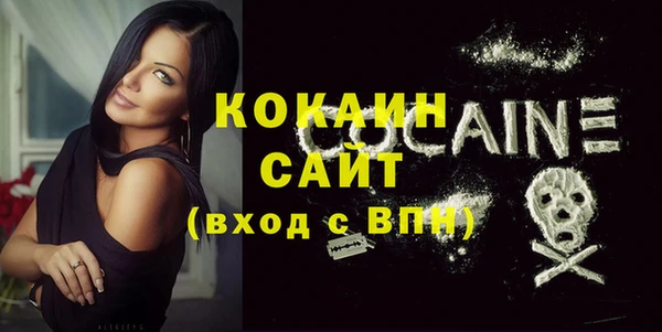 спиды Бородино