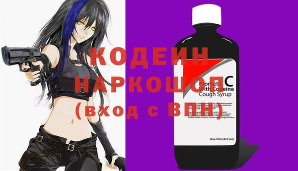 спиды Бородино