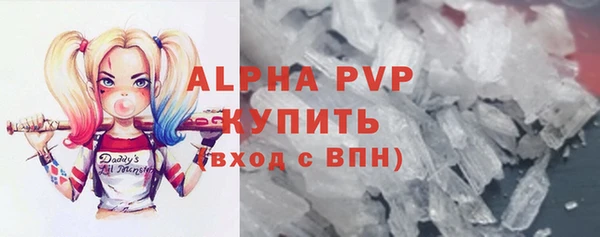 спиды Бородино