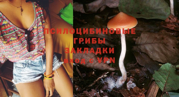 герыч Бугульма