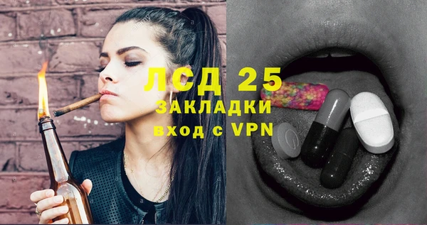 спиды Бородино