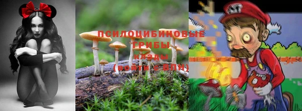 спиды Бородино