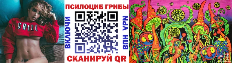 Псилоцибиновые грибы мухоморы  хочу   даркнет формула  Чернушка 